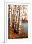 Summer Birch 1-Marcus Prime-Framed Art Print