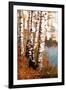 Summer Birch 1-Marcus Prime-Framed Art Print