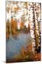 Summer Birch 2-Marcus Prime-Mounted Art Print