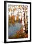 Summer Birch 2-Marcus Prime-Framed Art Print