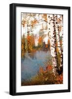 Summer Birch 2-Marcus Prime-Framed Art Print