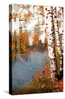 Summer Birch 2-Marcus Prime-Stretched Canvas