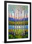 Summer Birch-Peggy Davis-Framed Art Print