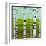 Summer Birches-Michelle Calkins-Framed Art Print