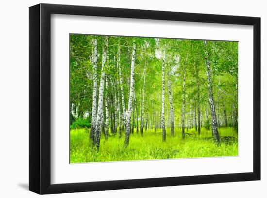 Summer Birchwood Forest-null-Framed Art Print