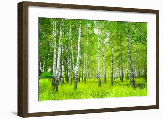 Summer Birchwood Forest-null-Framed Art Print