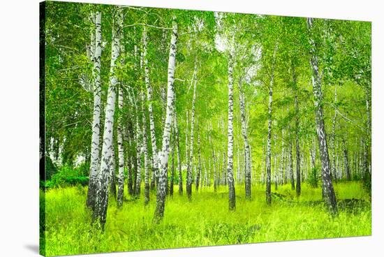 Summer Birchwood Forest-null-Stretched Canvas