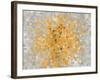 Summer Blocks with Gray Crop-Danhui Nai-Framed Art Print