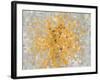 Summer Blocks with Gray Crop-Danhui Nai-Framed Art Print