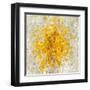 Summer Blocks-Danhui Nai-Framed Art Print