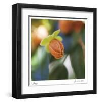 Summer Bloom 1-Florence Delva-Framed Limited Edition