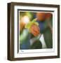 Summer Bloom 1-Florence Delva-Framed Limited Edition