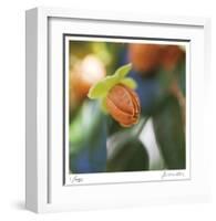 Summer Bloom 1-Florence Delva-Framed Limited Edition