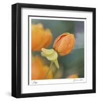 Summer Bloom 2-Florence Delva-Framed Limited Edition