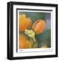 Summer Bloom 2-Florence Delva-Framed Limited Edition