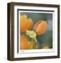 Summer Bloom 2-Florence Delva-Framed Limited Edition