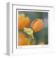 Summer Bloom 2-Florence Delva-Framed Limited Edition