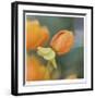 Summer Bloom 2-Florence Delva-Framed Limited Edition