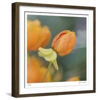 Summer Bloom 2-Florence Delva-Framed Limited Edition