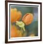 Summer Bloom 2-Florence Delva-Framed Limited Edition