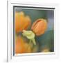 Summer Bloom 2-Florence Delva-Framed Limited Edition