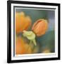 Summer Bloom 2-Florence Delva-Framed Limited Edition