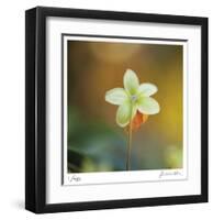 Summer Bloom 3-Florence Delva-Framed Limited Edition