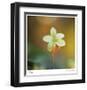 Summer Bloom 3-Florence Delva-Framed Limited Edition