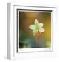 Summer Bloom 3-Florence Delva-Framed Limited Edition