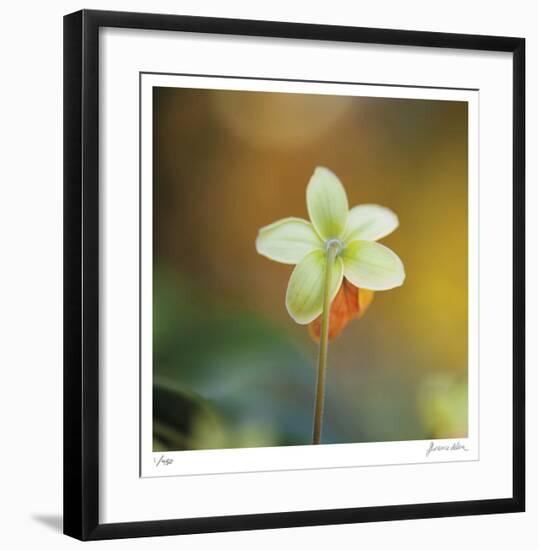 Summer Bloom 3-Florence Delva-Framed Limited Edition