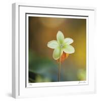 Summer Bloom 3-Florence Delva-Framed Limited Edition