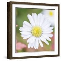 Summer Bloom-John Harper-Framed Giclee Print