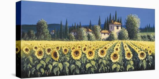 Summer Blooms-David Short-Stretched Canvas