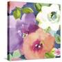 Summer Blooms-Sandra Jacobs-Stretched Canvas