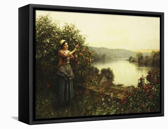 Summer Blossoms-Daniel Ridgway Knight-Framed Stretched Canvas