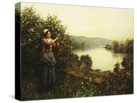 Summer Blossoms-Daniel Ridgway Knight-Stretched Canvas