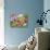 Summer Blush-Ella Lancaster-Stretched Canvas displayed on a wall