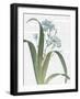 Summer Botanicals III-Wild Apple Portfolio-Framed Art Print