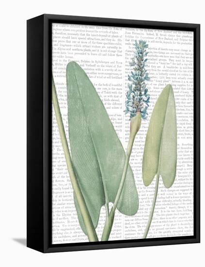 Summer Botanicals IV-Wild Apple Portfolio-Framed Stretched Canvas