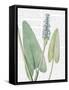 Summer Botanicals IV-Wild Apple Portfolio-Framed Stretched Canvas