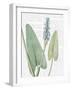 Summer Botanicals IV-Wild Apple Portfolio-Framed Art Print