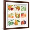 Summer Bounty-Jennifer Abbott-Framed Giclee Print