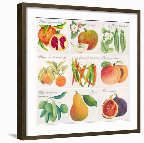 Summer Bounty-Jennifer Abbott-Framed Giclee Print