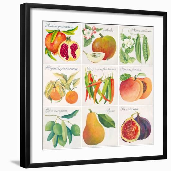 Summer Bounty-Jennifer Abbott-Framed Giclee Print