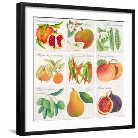 Summer Bounty-Jennifer Abbott-Framed Giclee Print