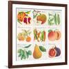 Summer Bounty-Jennifer Abbott-Framed Giclee Print