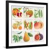 Summer Bounty-Jennifer Abbott-Framed Giclee Print