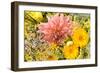 Summer Bouquet I-Maureen Love-Framed Photographic Print