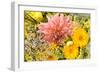 Summer Bouquet I-Maureen Love-Framed Photographic Print