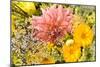 Summer Bouquet I-Maureen Love-Mounted Photographic Print